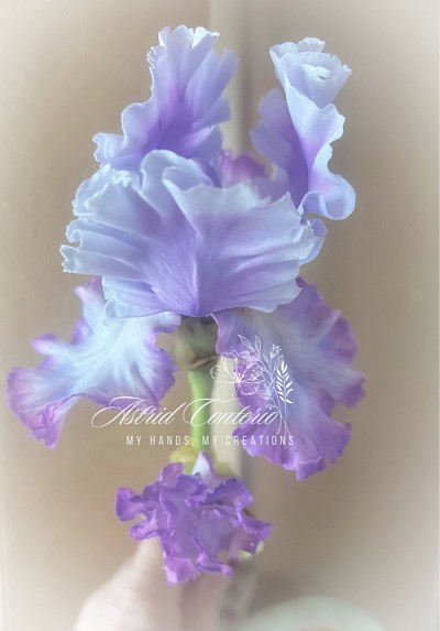 Iris barbuto in pasta polimerica flessibile. Handmade