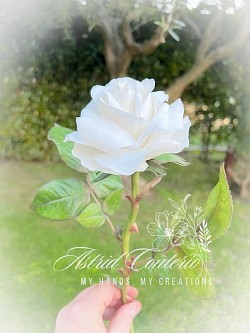 Rosa, handmade flowers,cold porcelain,polimero clay flowers, fiori fatti a mano