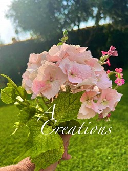 Ortensia,hydrangea,clay art, cold porcelain, polimero clay, argilla flessibile polimerica