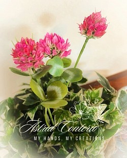 Trifoglio,fiore trifoglio, clay art, cold porcelain, fiori fatti a mano, handmade flowers